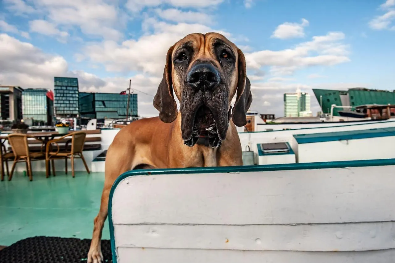 Amsterdam Hotelboat